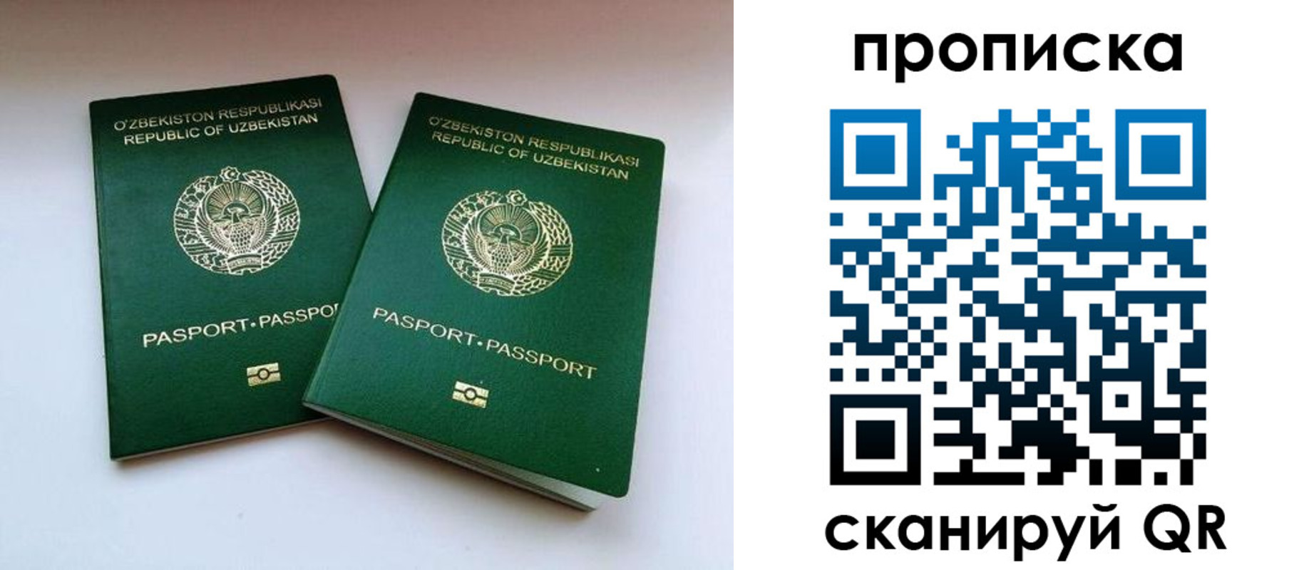 прописка поиск в Калачинске